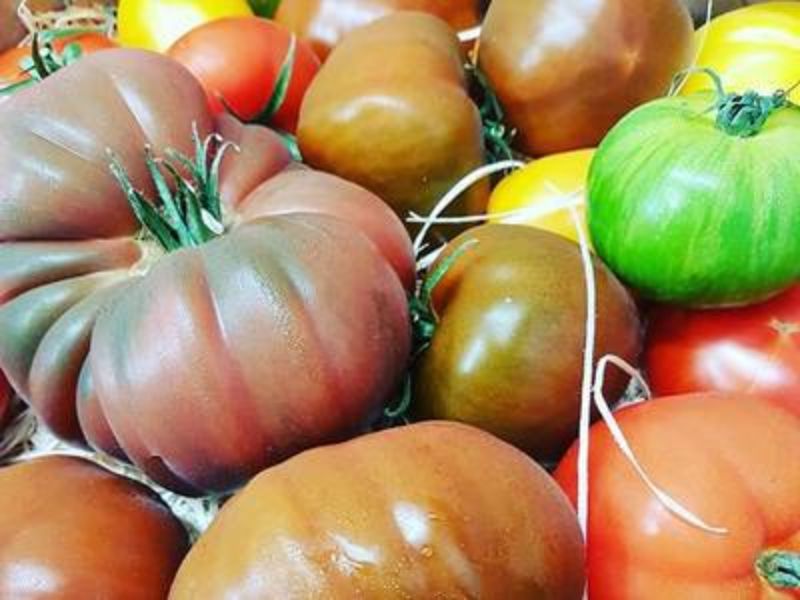 Sélection de Tomates d'Antan