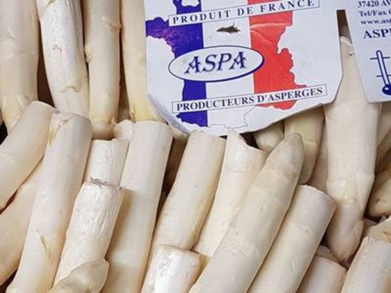 Asperges Blanches Française