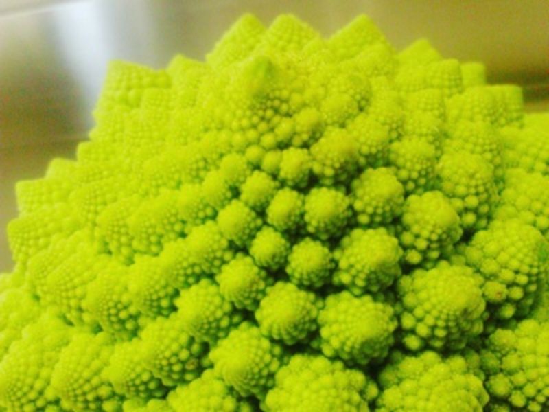 Chou, le chou Romanesco 